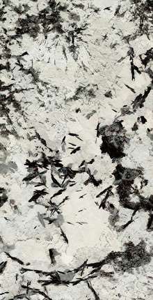 Фьюше Керамик Luxury Stone SS12049 Pol 60x120