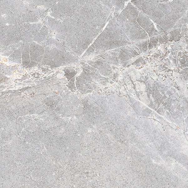 Ash Rettificato 60x60 (600x600)