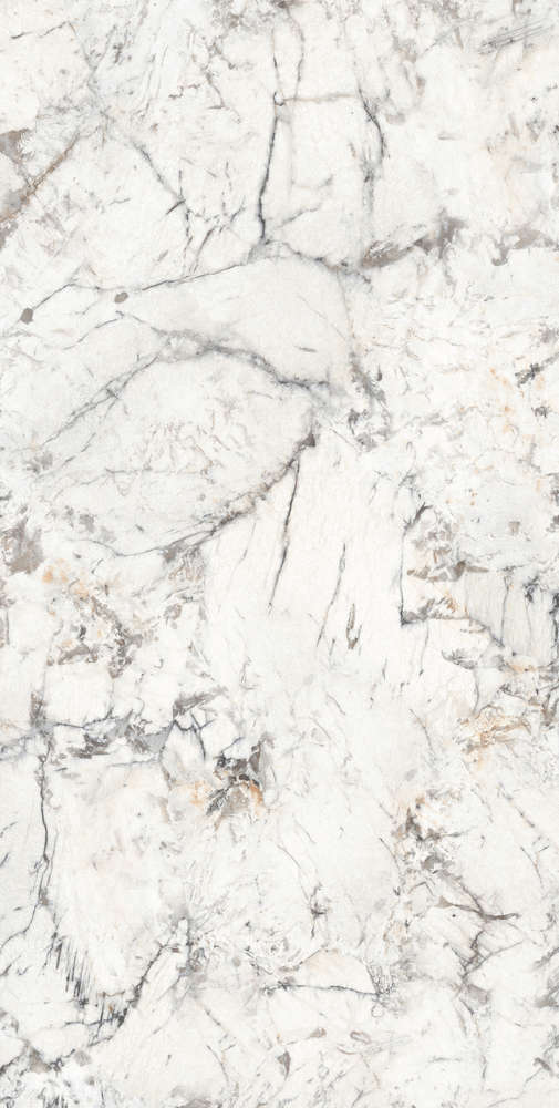 White Polished Rectificado (600x1200)