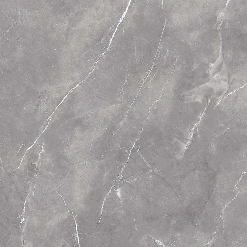 Gris 120x120 Polished (1200x1200)