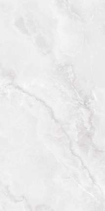 Глобал Тайл Agra Светло-Серый 60x120 Полированный