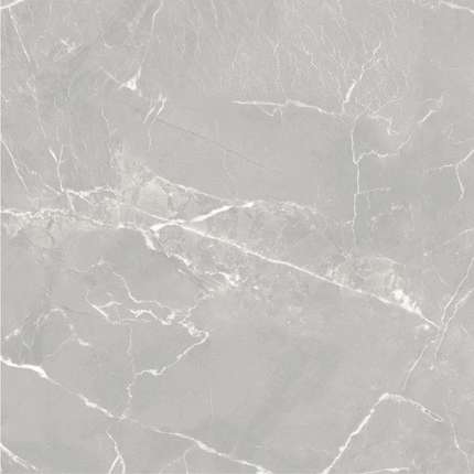 Глобал Тайл Carolina Серый 60x60