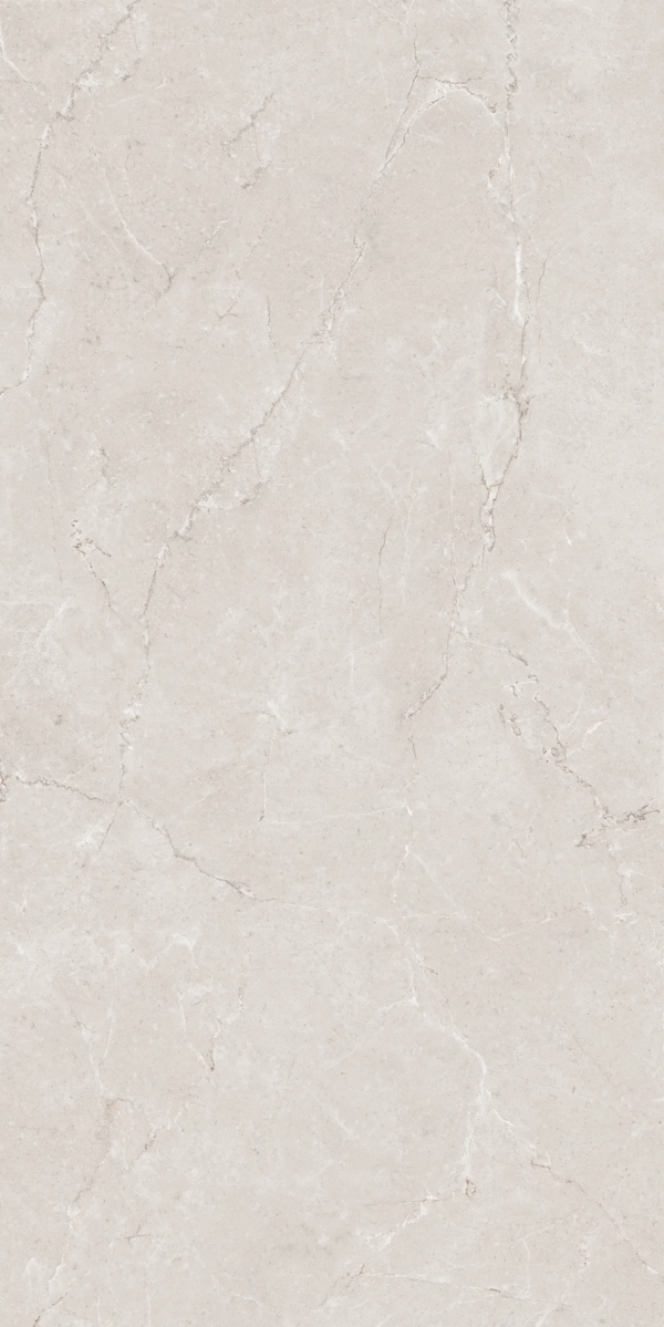 Серо-Бежевый Матовый 60x120 (600x1200)