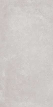 Глобал Тайл Lids Светло-Серый 60x120 Лаппатированный