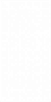 Глобал Тайл Princess Белый 60x120 Полированный