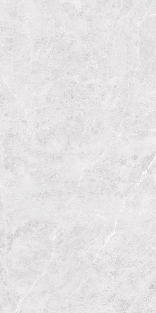 Светло-Серый Карвинг 60x120 (600x1200)