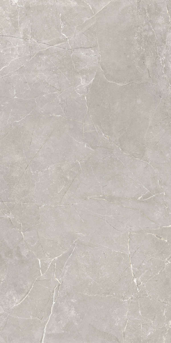 Серый 60x120 Лаппатированный (Soft Sugar + цифровая граниль) (600x1200)