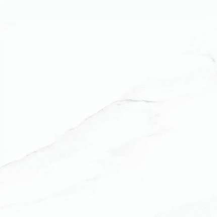 Голдис Тайл Calcatta White Matt Rect 60х60