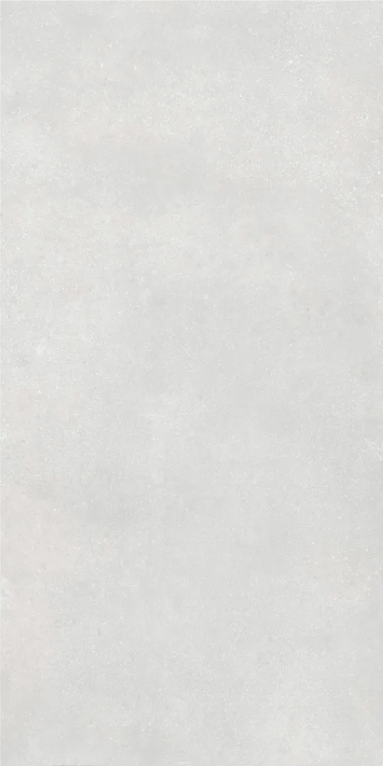 Light grey Светло-Серый PG 11 60х120 (600x1200)