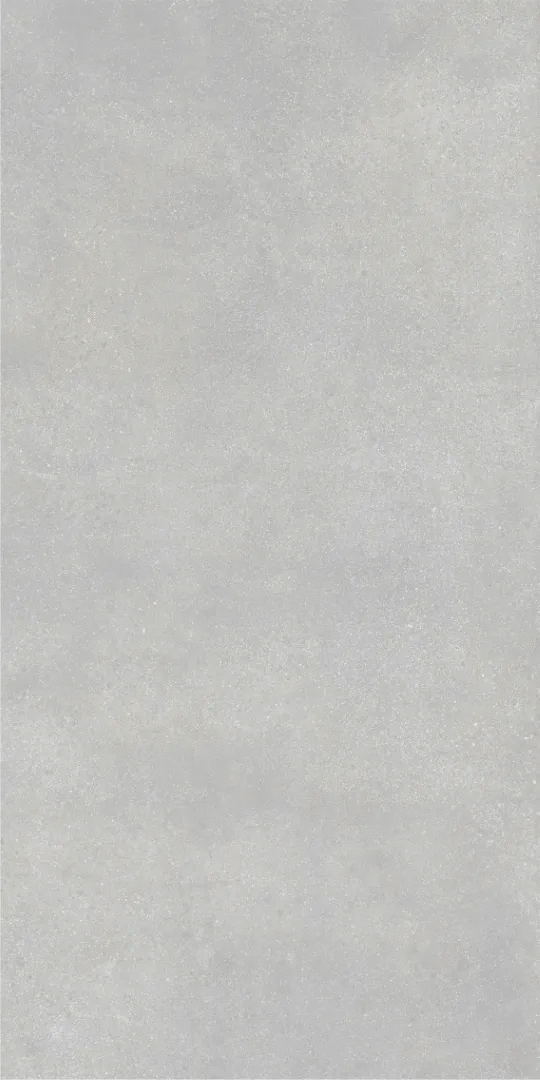 Grey Серый PG 11 60х120 (600x1200)
