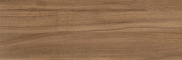 Brown PG 01 20х60 (600x200)