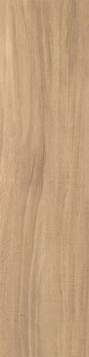 Beige 12.5x50 (125x500)