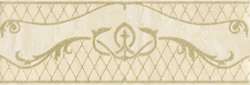 Beige border 01 (250x85)