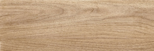 Beige PG 01 20х60 (600x200)