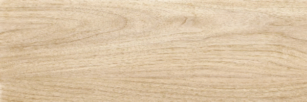 Beige PG 02 20х60 (600x200)