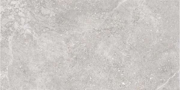 Базовый Gris Smooth 60x120 (1200x600)