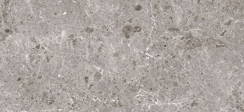 Gris Pul. 120x260 5.6 (2600x1200)