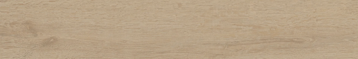 Roble 19.5х120 (1200x195)