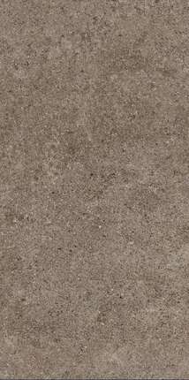 Греспания Porfido Cov Brown Natural 60x120 5.6mm