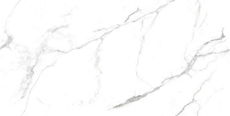 White Glossy 60x120 (1200x600)