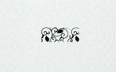 Ида Серамик Defne Decor Waterjet 25x40