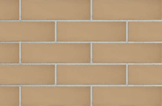 Beige SP112 (283x84)