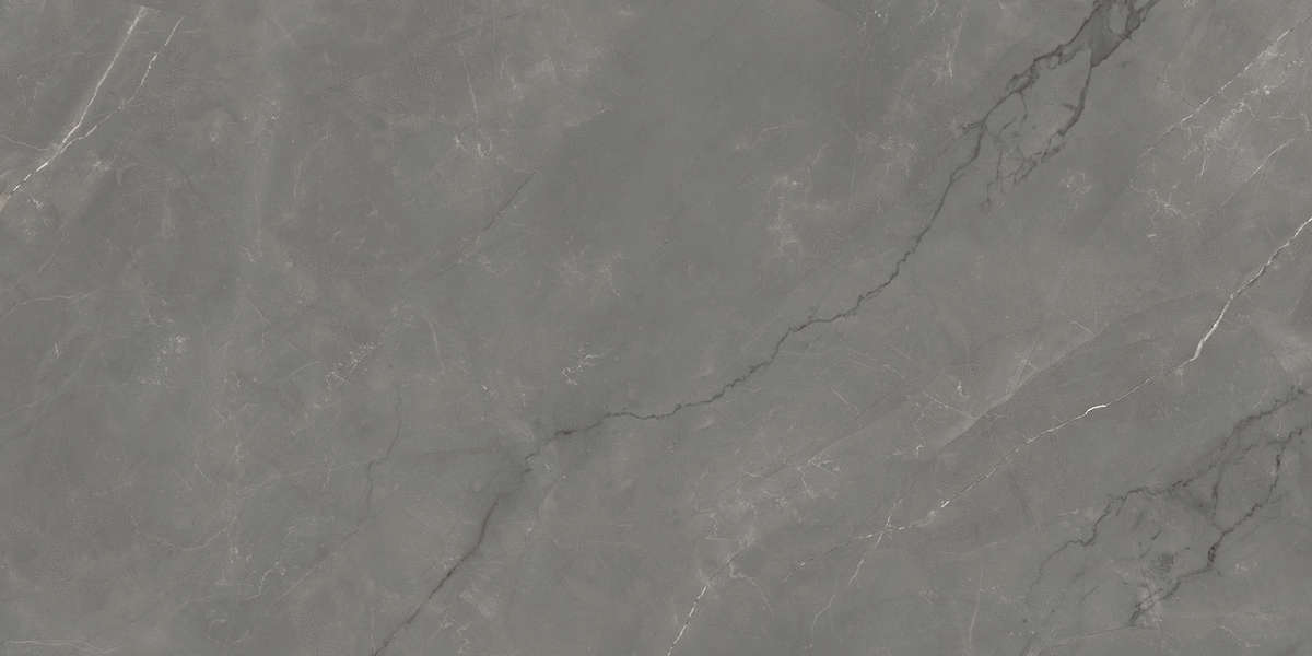 Grey Glossy Golden Line 60x120 (Полированная с Карвинг- Эффектом) (1200x600)