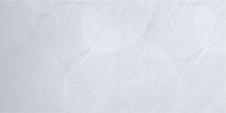 Инфинити керамик Eleganza Sky Arte Carving 60x120