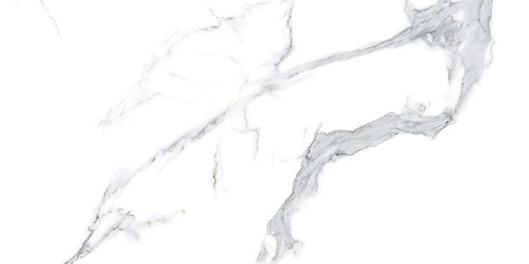 Bianco Polished (1200x600)