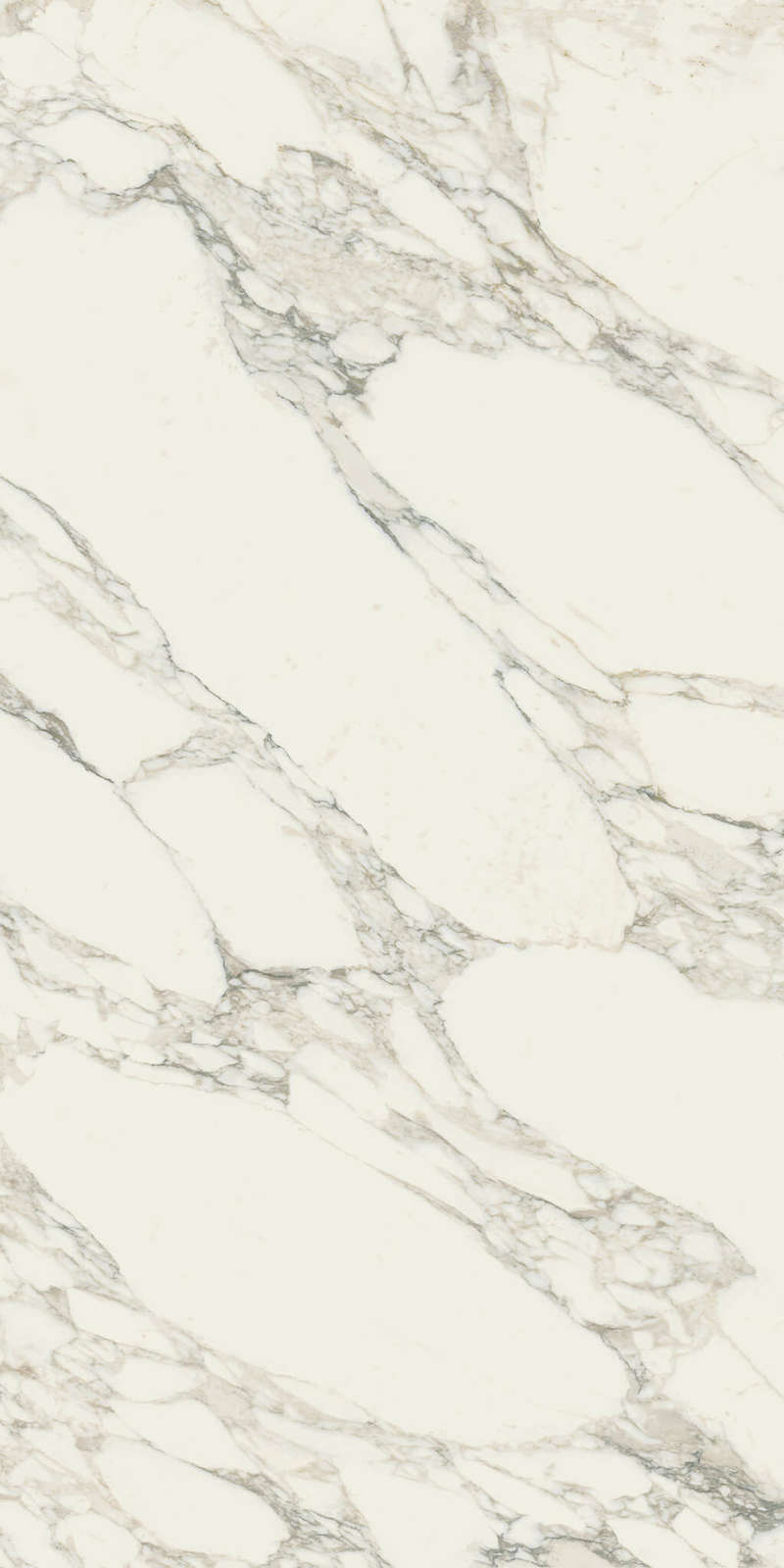 Arabescato White Lux. 80x160 (800x1600)