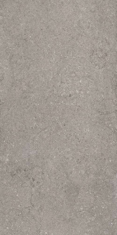 Grey 60x120 Натуральный и Ретифицированный (600x1200)