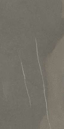 Италон Metropolis Arcadia Brown 60x120 Натуральный И Реттифицированный