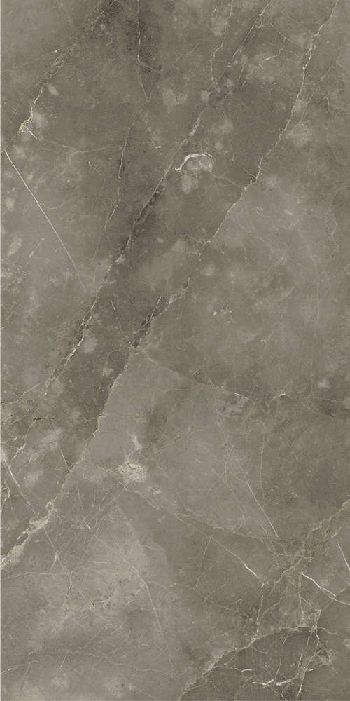 Tuscania Grey 80x160 Ret (800x1600)