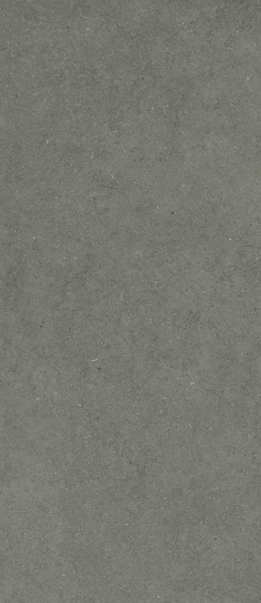 600180000083 Керамогранит Italon Forum Stone Iron 120x278 (1200x2780)