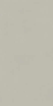 Italon Forum Slim Silver Ret 60x120