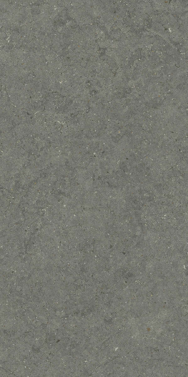 610010004169 Керамогранит Italon Forum Stone Iron Ret 60x120 (600x1200)