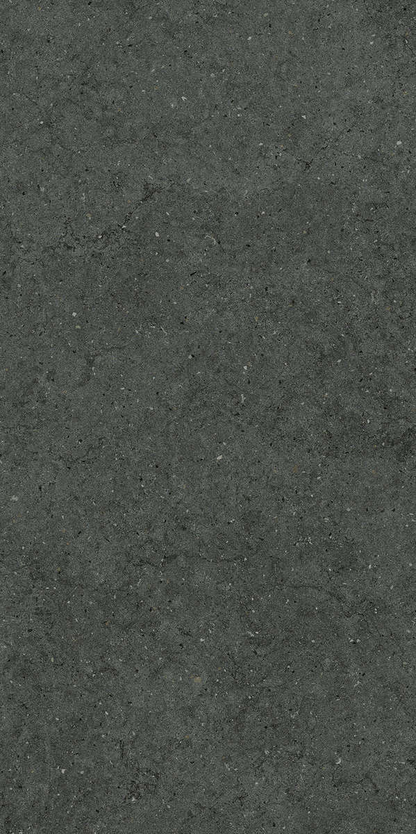 610010004171 Керамогранит Italon Forum Stone Petrol Ret 60x120 (600x1200)