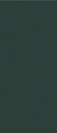 Janye Slab Solid Color Posidonia Green Text 120x280