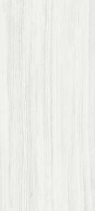 Janye Slab Stone Line Stone matt 120x270