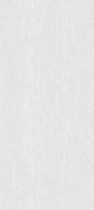 Janye Slab Stone White Sand str 120x270