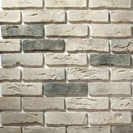 Камелот Дрезден 391