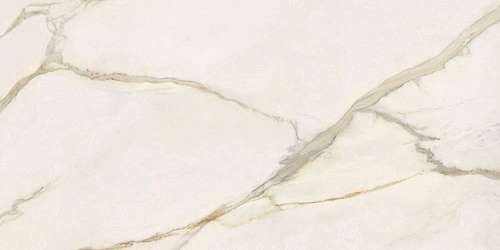 Calacatta Gold Silk Rt 120x60 (1200x600)