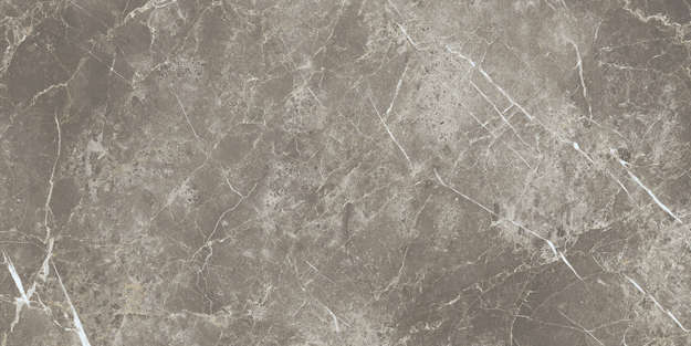 Eclectic Persian Grey Silk Rt 60x120 (1200x600)
