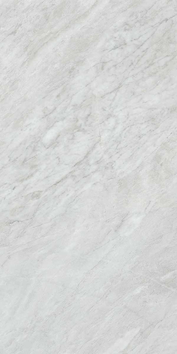 Bardiglio Silver Lappato RT 60x120 (600x1200)