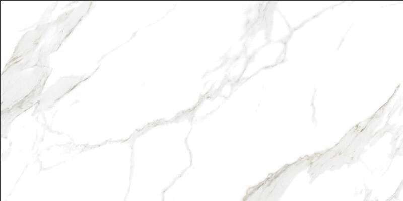 Whitey Veined Glossy (1200x600)