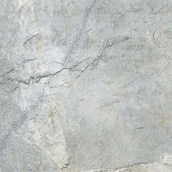 Grey 1173 Polished (600x600)