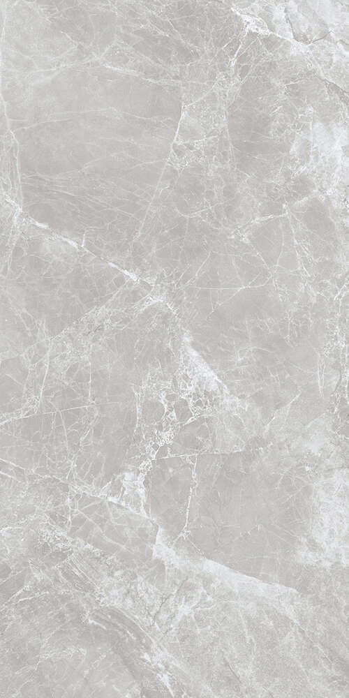 Grey Feather matt Satin 60x120 (600x1200)