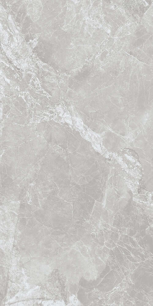 Grey Feather matt Satin 60x120 (600x1200)