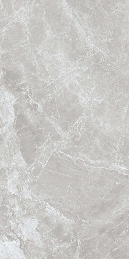 Grey Feather matt Satin 60x120 (600x1200)