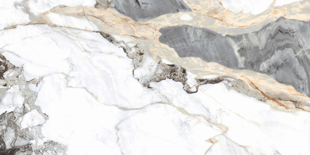 Grey Glossy 60x120 (1200x600)